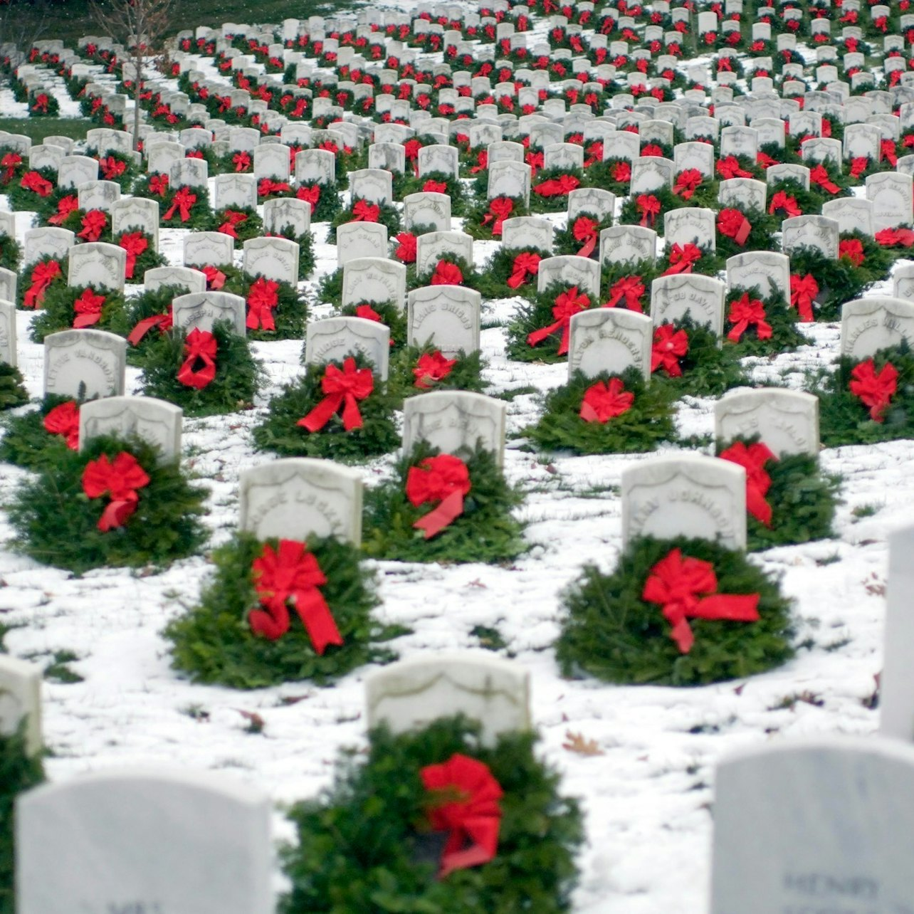 Arlington Cemetery & Smithsonian National Museum of American History Guided Tour - Photo 1 of 7